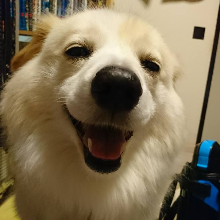 55bdc521 1160 462c a8bb cd0fd79b05f1