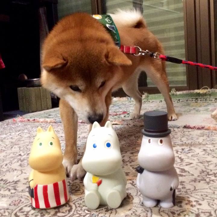 55bdedf1 886d 4965 be1b 1fcb0ca3a3fd