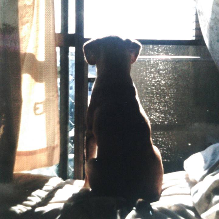 55bdfe47 6375 4bdd a91e 11648e23a689