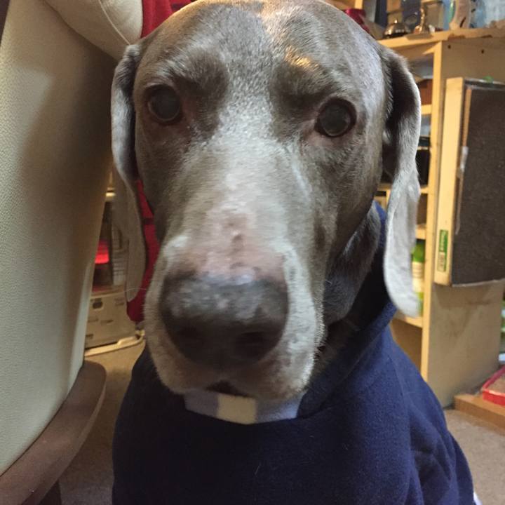 55be39d6 078c 45f1 8cb1 1083a46b2af1