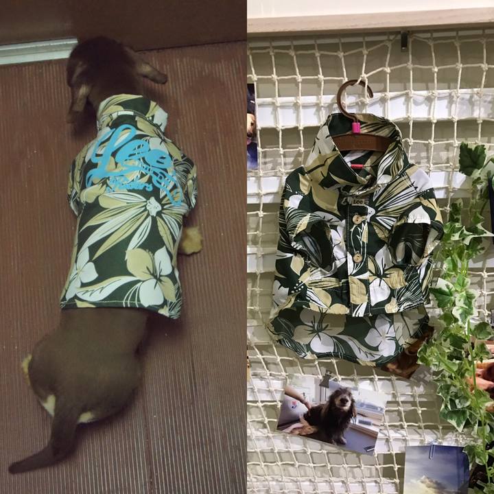 55be6af5 77c2 430c 86d7 5d2c367da79b