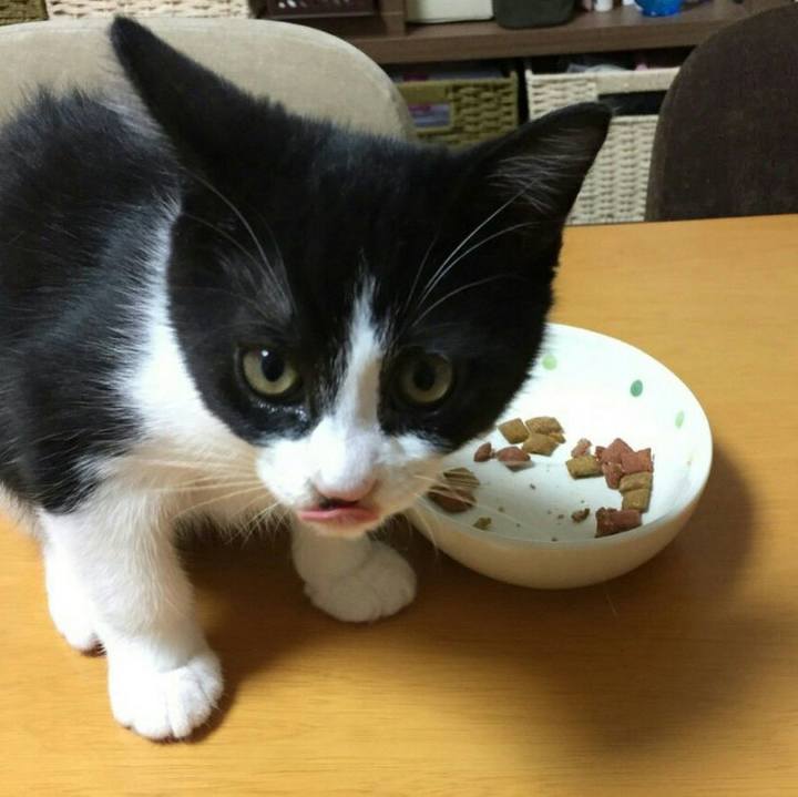 55bf19b8 d124 40bf 8c87 b465ad6c97d4