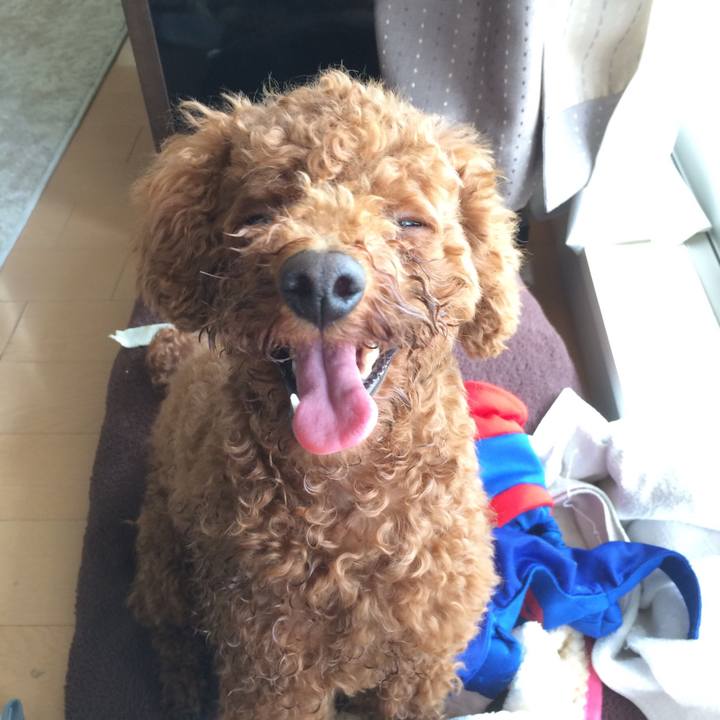 55bf43ad effb 4ed7 835d e83887c977e6