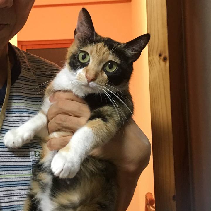 55c085a5 b68a 441c 8fce c9fe7400cf07