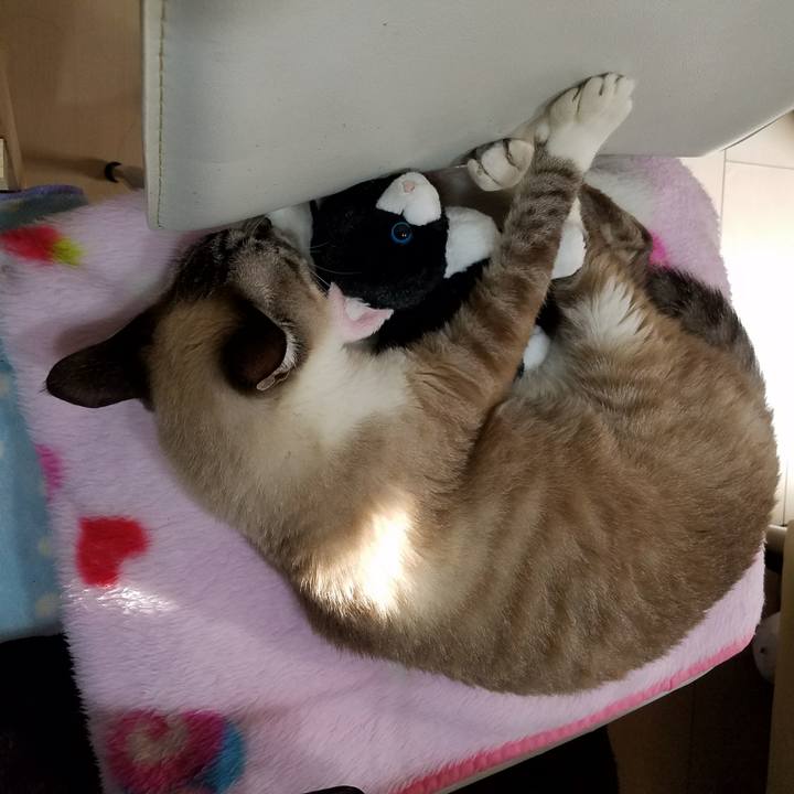 55c0cf37 53a5 4f1e a12c bb969a4e744c