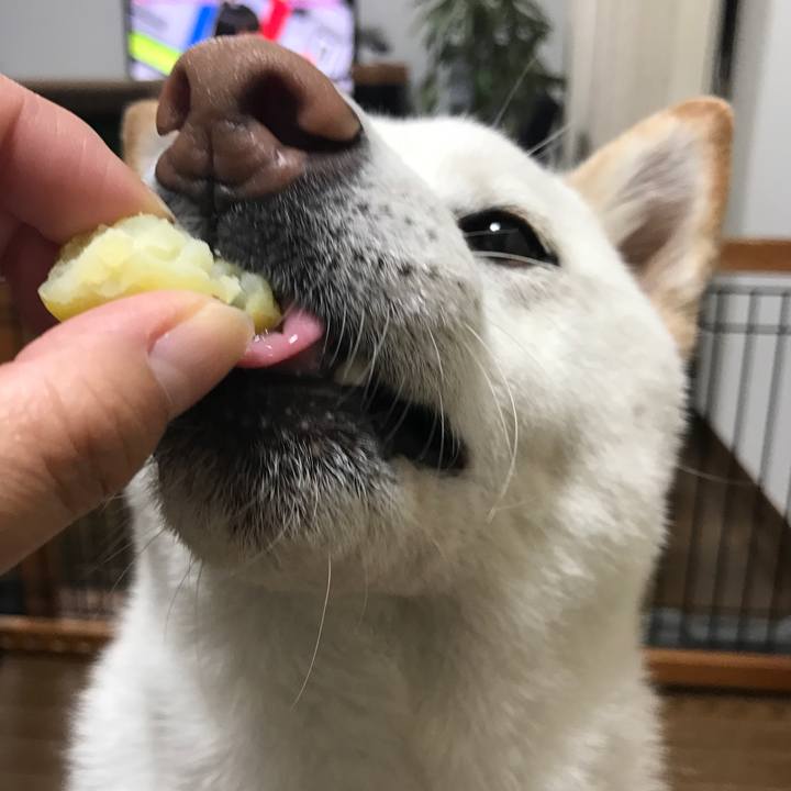 55c22529 6812 4674 abb0 1117edc4f8fe