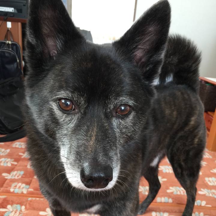 55c311f4 a23b 41d4 b8df e4b4d8beb678