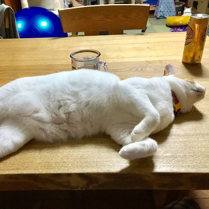 55c39359 ebd6 4e2e 8b26 1c54dbf0d686