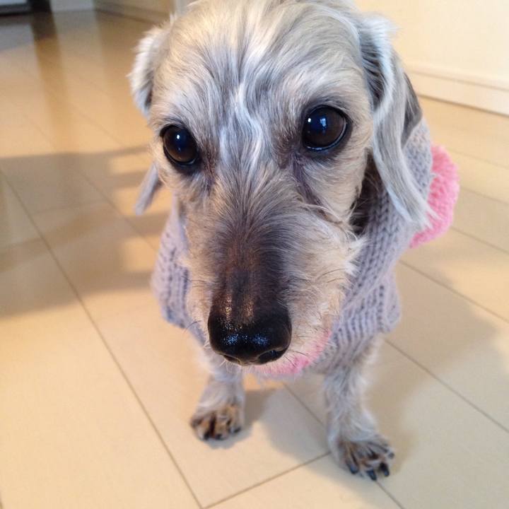 55c3ea63 f3af 4693 81b9 50a75d5dd364