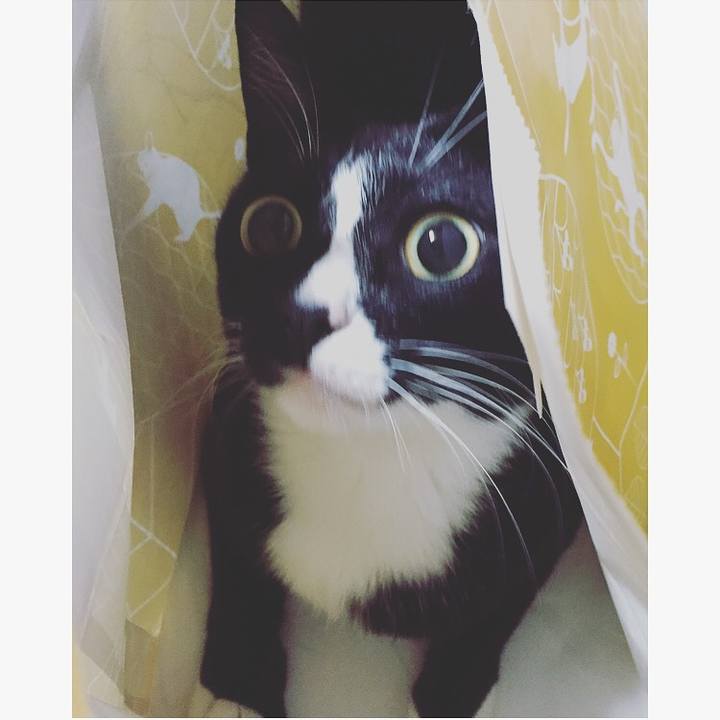 55c3fb60 c4b1 4483 90b9 216ebf6ac94e