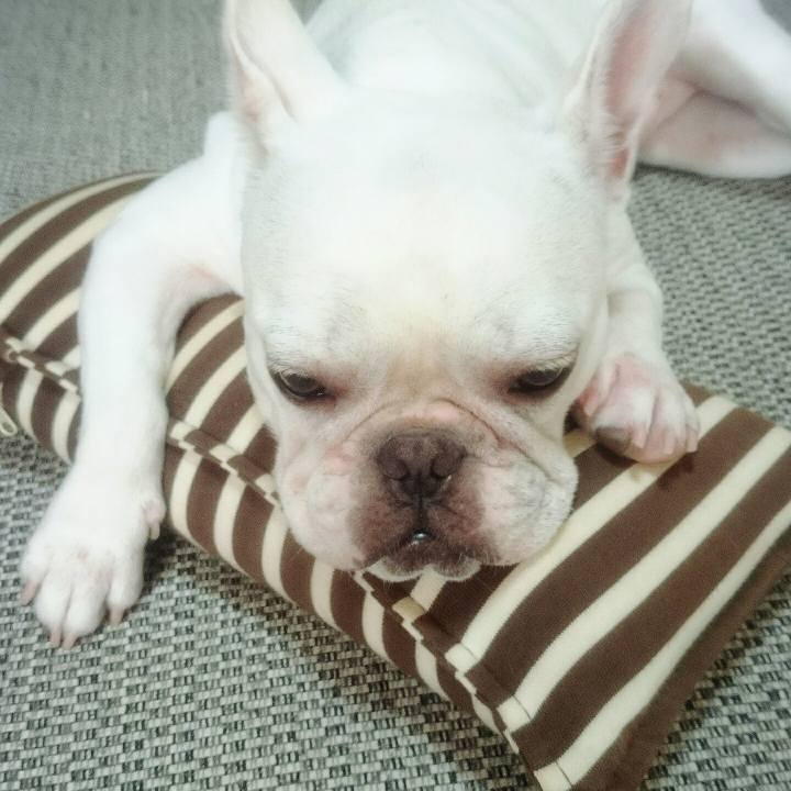 55c415f1 60d6 45ca a4b4 4c9c316ff66d