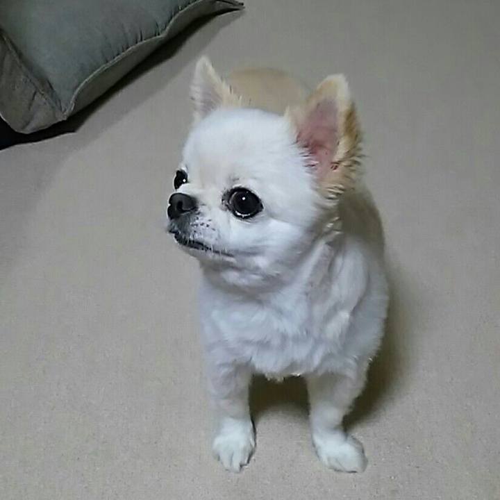 55c4b4cd e796 4308 8d20 3ffa52414b3d