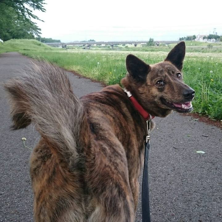 55c4c138 b112 4ce8 b1cb f1d7a4186515