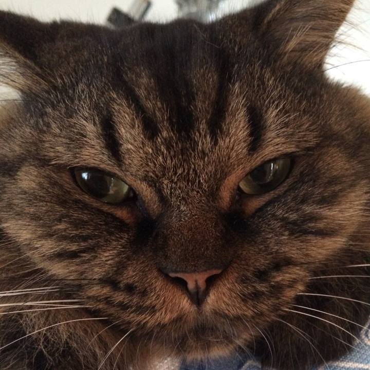 55c56681 aa94 46ae b1ce e92289a760dc