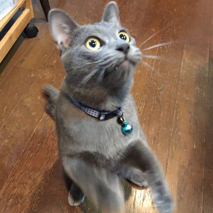 55c5cfc0 f04c 47f7 9bcc 702b48fb3266