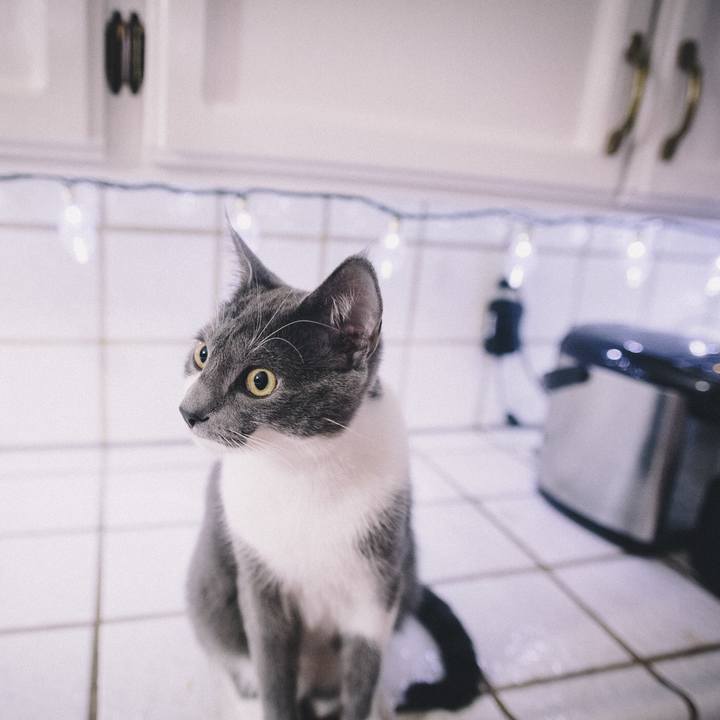 55c5f8a6 586f 4f27 9f96 c88a3220ae88