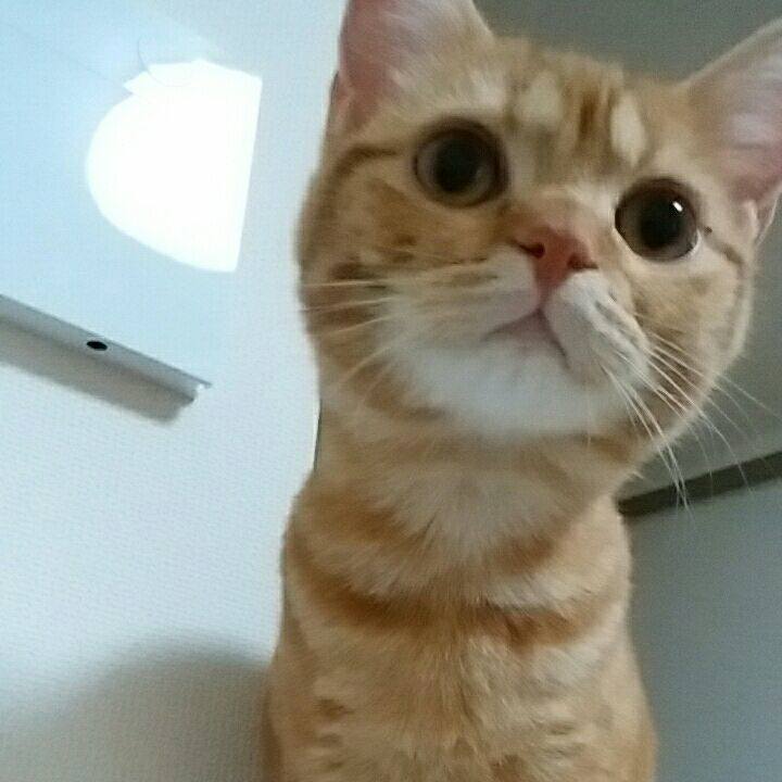 55c626de 224b 437f 885b 2abcb744f4bb