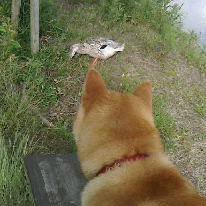 55c6e413 7fb1 4f8d aab9 9d4f629a6a64