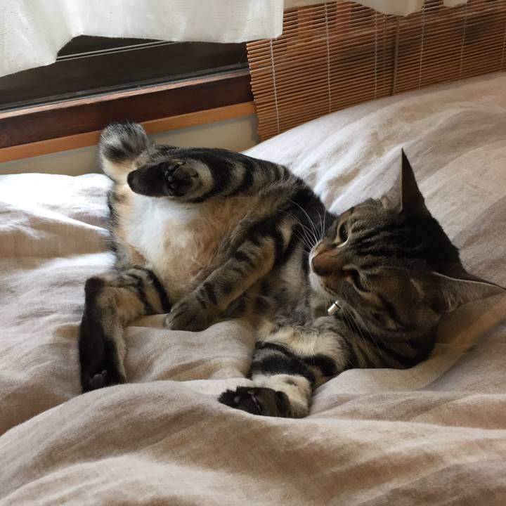 55c83476 89a2 4d90 9342 7bfef3eaf7d2