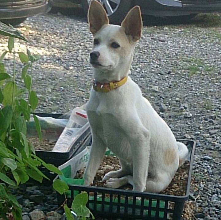 55c85b8c 3889 4a6a a1f9 abf0cad36c2d