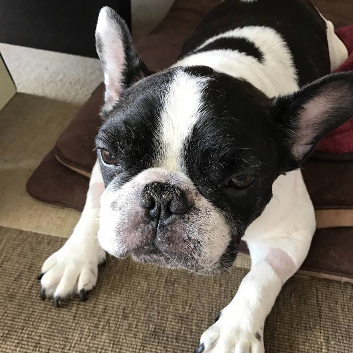 55c9f605 8d6a 4ac9 b9bc 16338d76c632