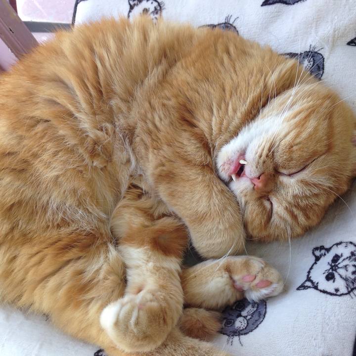 55ca549f ee58 4e46 b264 c7314b152b38