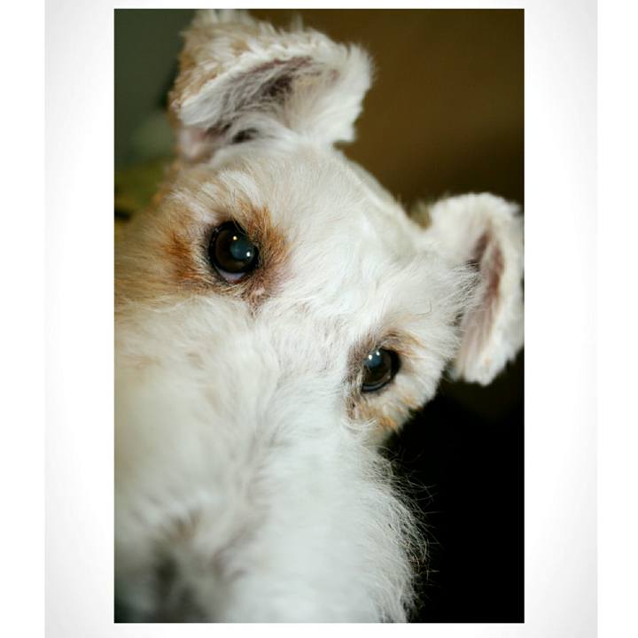 55cab6a2 be6b 4ceb b5e0 00a45c39d150