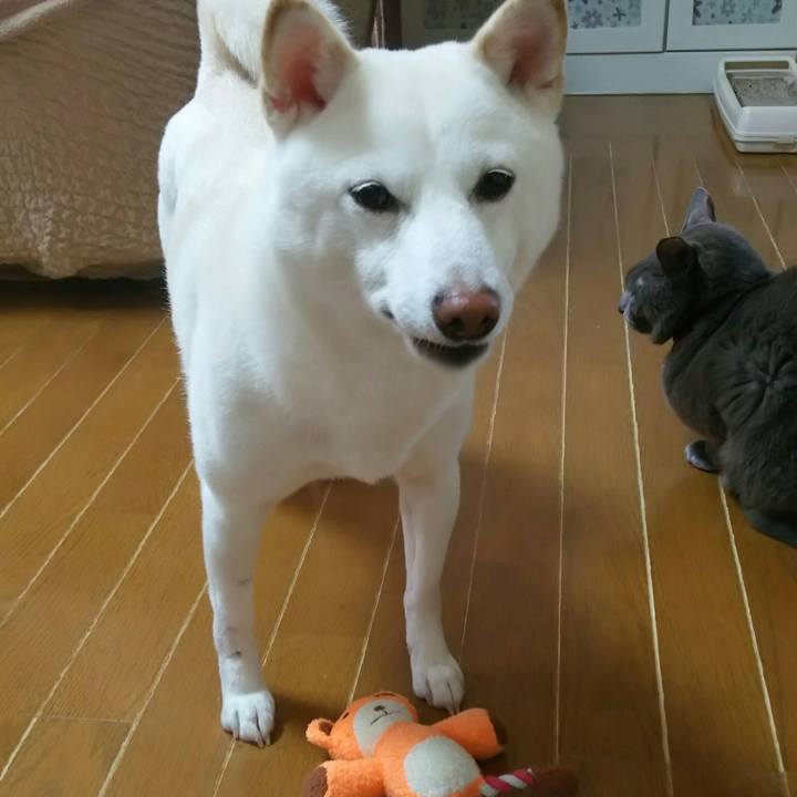 55cabaa5 05ba 4697 8ca4 d9ca4c476a67