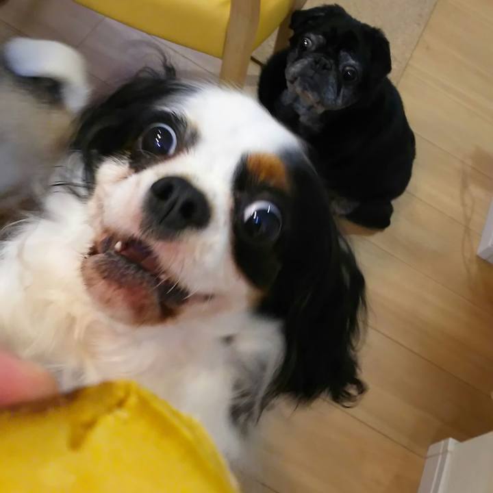 55cad44f 45fa 4a82 94f5 39d4af69e161