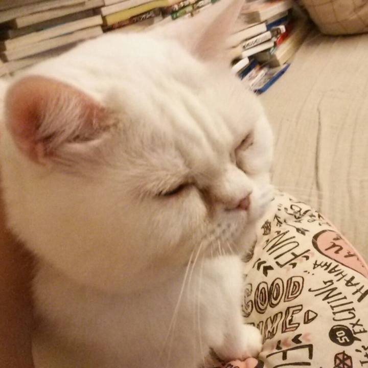 55cad920 aea7 45a0 b2f8 de786c8cdf24