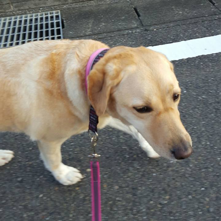 55cb313f 5522 4b5d a24f 17ed211a687c