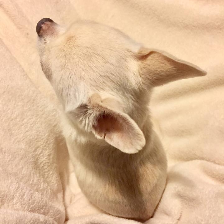 55cb7e46 d77b 4aa0 b1df 6ffddcb9ffdb