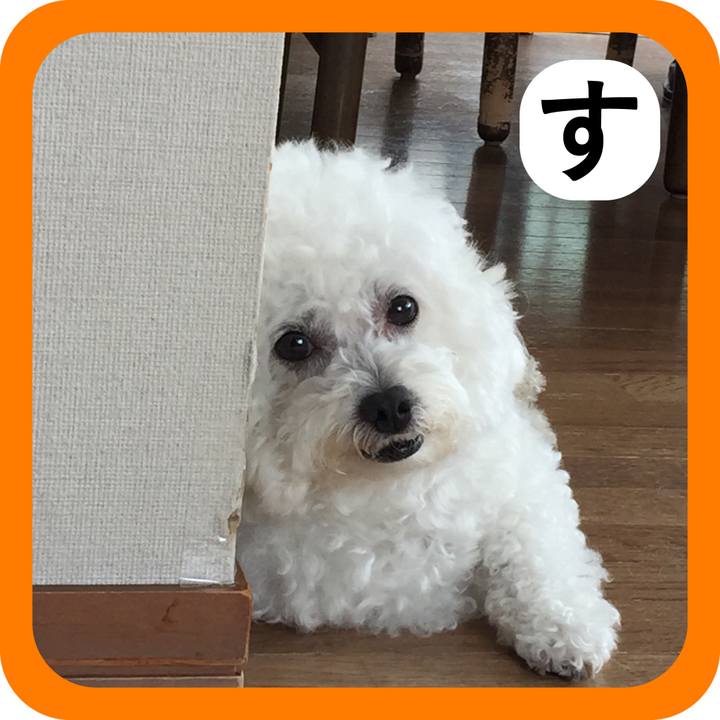 55cb9888 dd06 4f8e 9fb9 f40c7aec78af