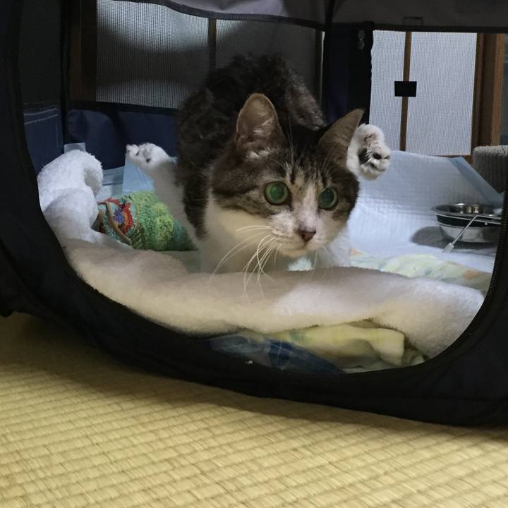 55ccb393 f8d3 4bac ac93 6f36592ad531