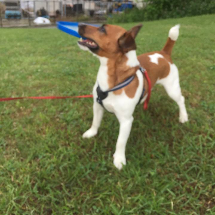 55cdc168 6972 4988 a921 85a94bc0c199