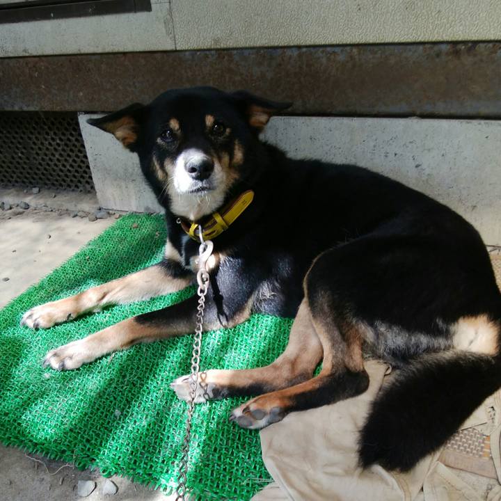 55ce0627 c26e 4aa2 947d 23aba2779af8