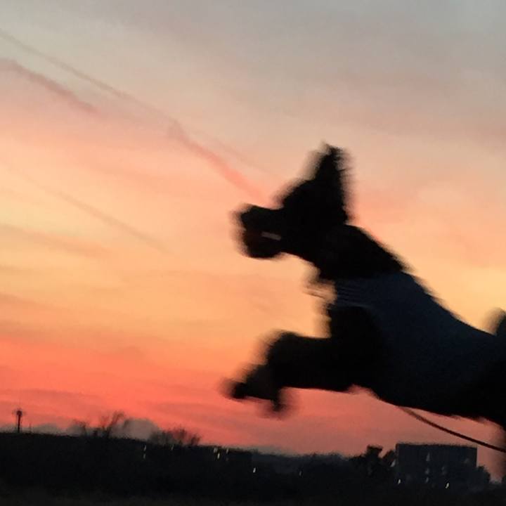 55ce2ffc b601 4707 a00c 7d2e292ccc26