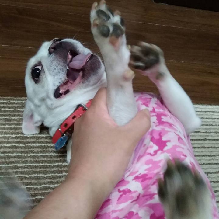 55ce3090 d82e 437d ab51 e06cb228f5a2