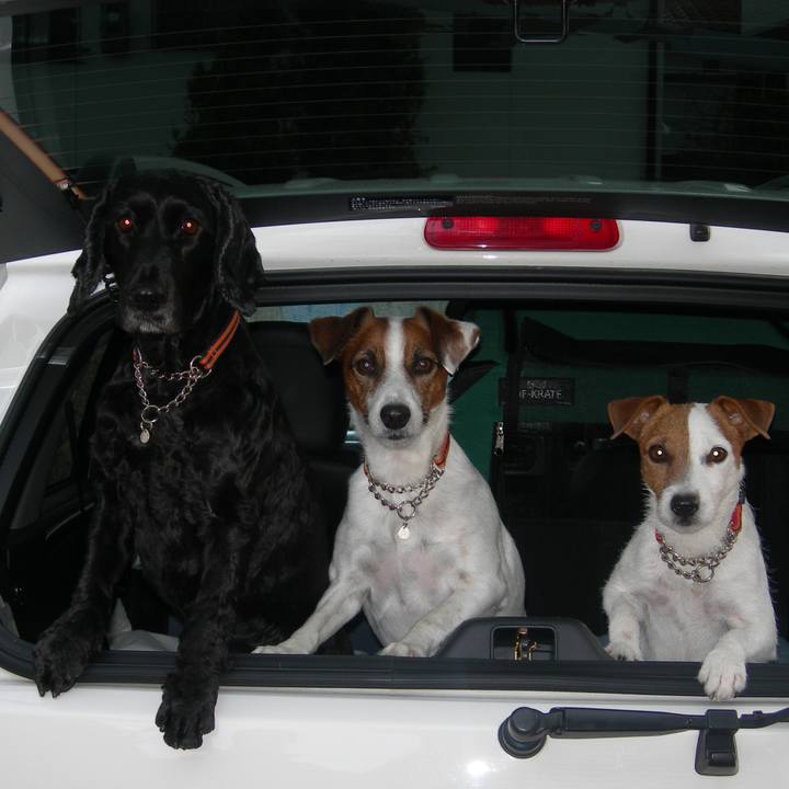 55ce6a65 9b54 4e40 80f9 47a1074c3fca