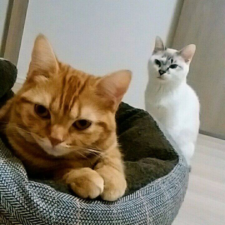 55cf2a58 17df 4f61 94c0 c32212108b1c