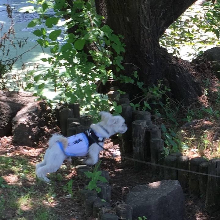 55cfc9d9 c6d3 45be be14 cfed8145dd2b