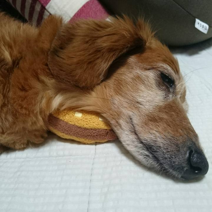 55d057d1 5e75 48dc 98a5 f687e9568a56