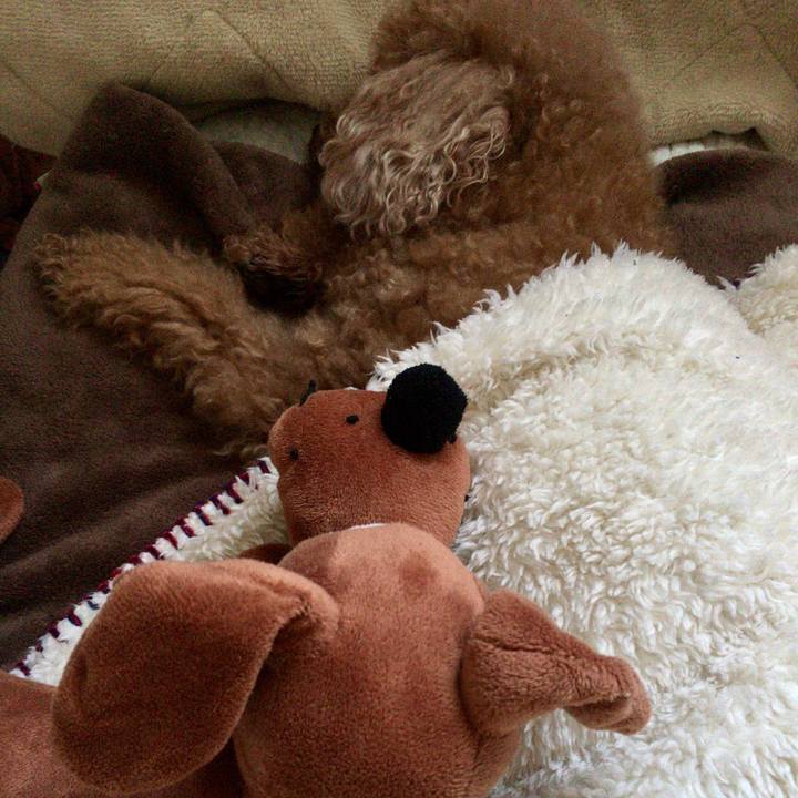 55d0a092 5447 4102 bd90 e4ce028516a0