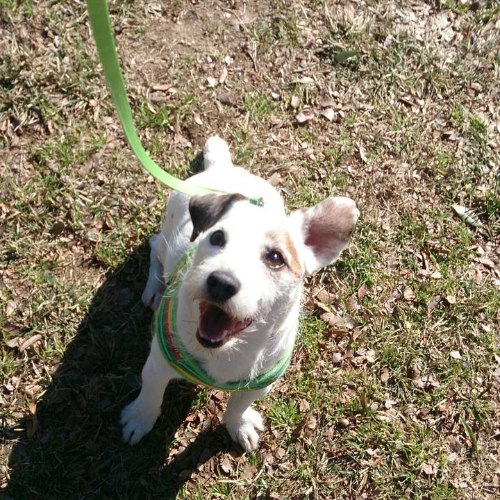 55d0f526 6c4b 45be a2c1 a99094387aba