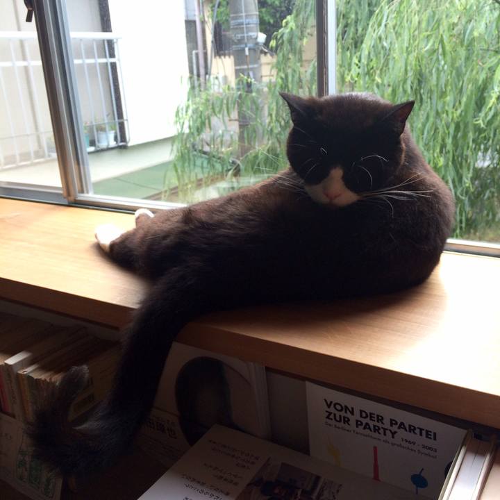 55d13c37 cbe0 4ec6 bc29 7ead9372fa8f