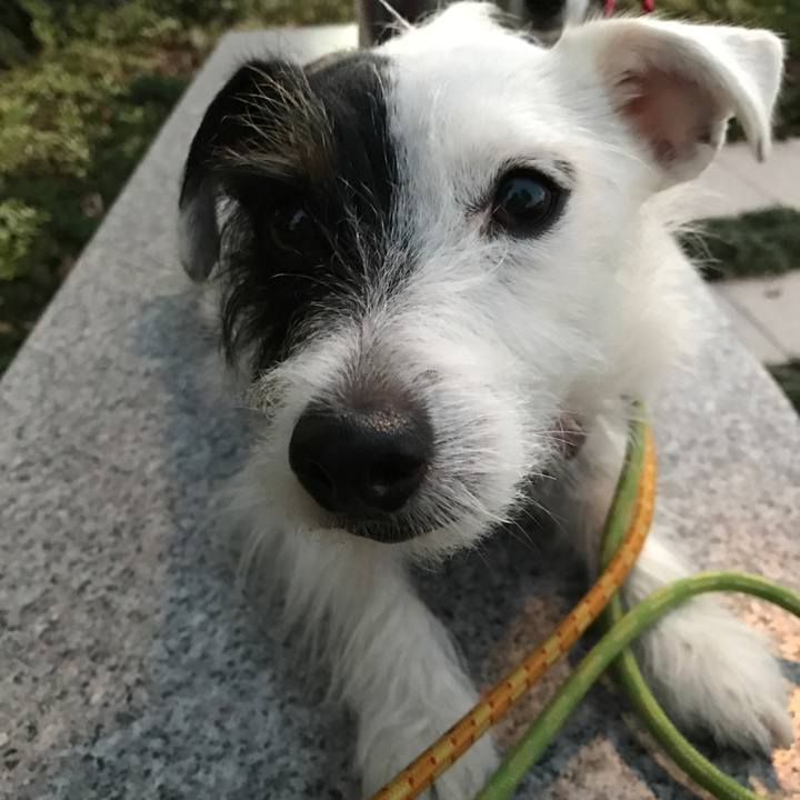 55d178c6 bf70 4888 a693 30622af7f153