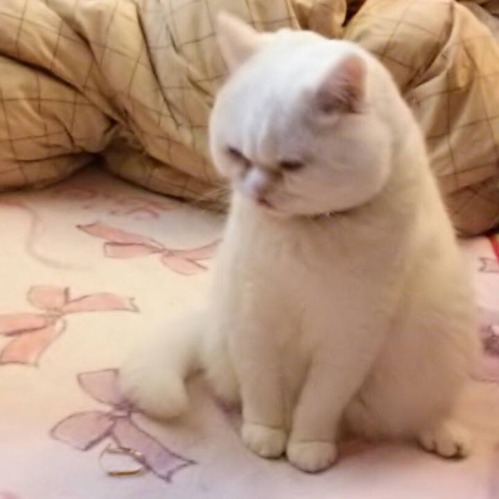 55d2e399 b574 4a0a bf9b 3f7c9309a047