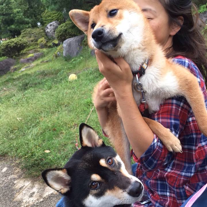 55d2e97a 3c02 453b ba55 3acfcf855dac