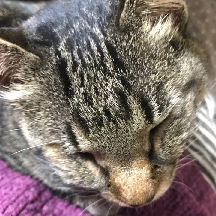 55d3044f dd67 4046 93a1 da34092a85e9