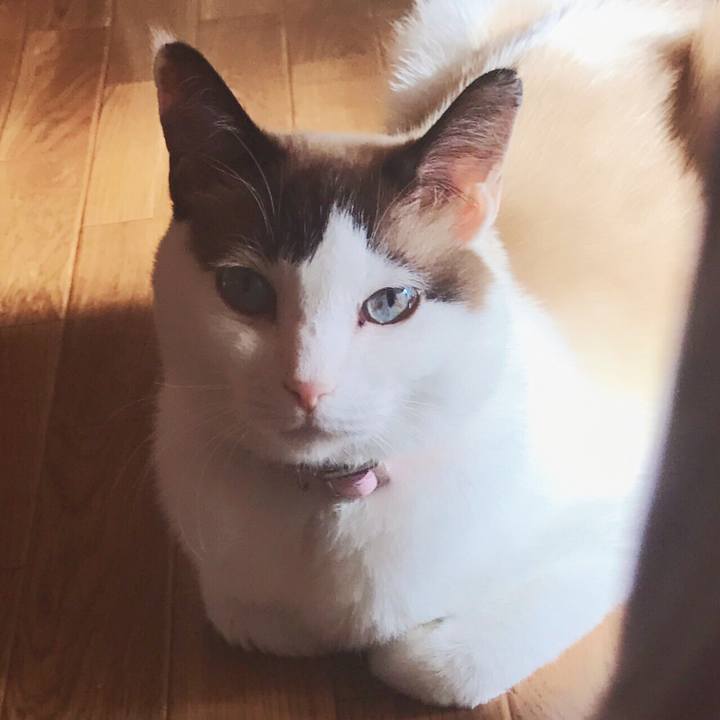 55d32078 94c7 4bdd 8e76 5ddc2136db99